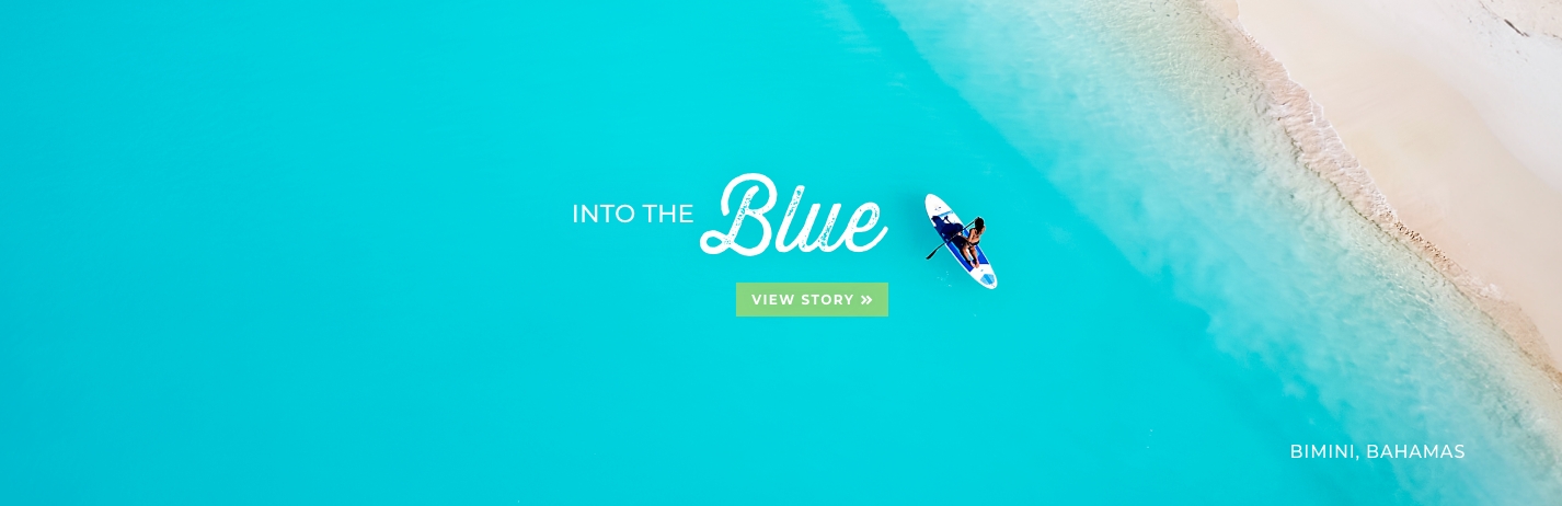 
                    into to the blue - bimini