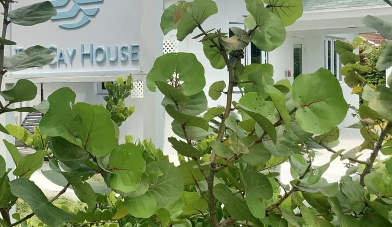 The Cay House | myoutislands.com