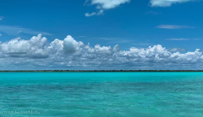 Andros Island Bonefish Club | myoutislands.com