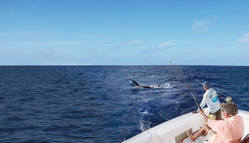 Brand Center | Activities: Deep Sea Fishing 2 | caribbeantravel.com