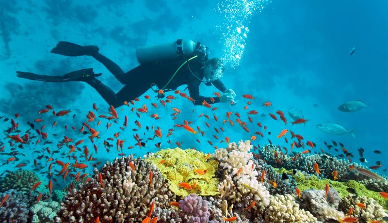 Brand Center | Activities: Diving 2 | caribbeantravel.com