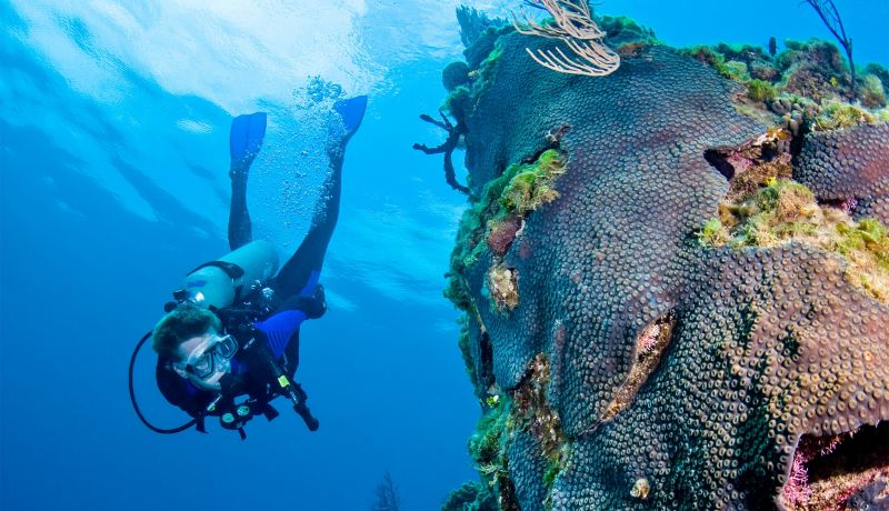 Brand Center | Activities: Diving 5 | caribbeantravel.com