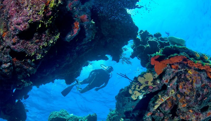 Brand Center | Activities: Diving 6 | caribbeantravel.com