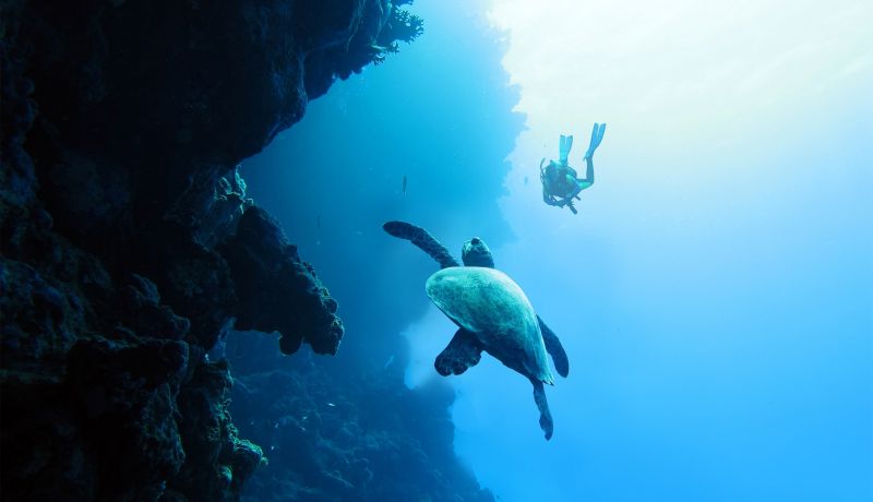 Brand Center | Activities: Diving 8 | caribbeantravel.com