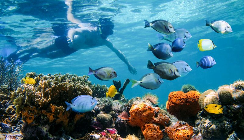 Brand Center | Activities: Snorkeling 2 | caribbeantravel.com